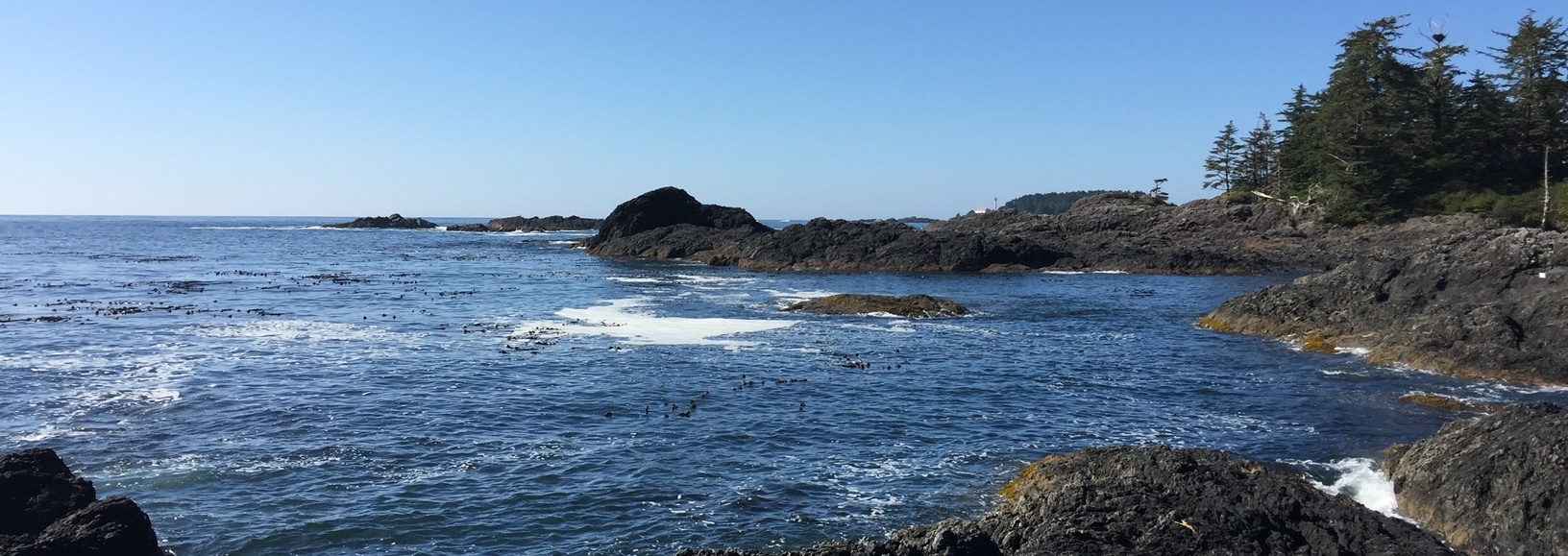 Rocky Coastline